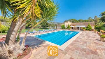 Privézwembad bij Villa Miro, omringd door een stenen terras met blauwe ligbedden, een grote palmboom op de voorgrond en een gele villa onder een strakblauwe lucht.