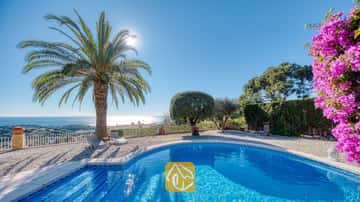 Privézwembad bij Villa Gabriella met een gebogen rand, een grote palmboom en grijze ligbedden op een grindterras dat uitkijkt over de zee onder een stralende zon.