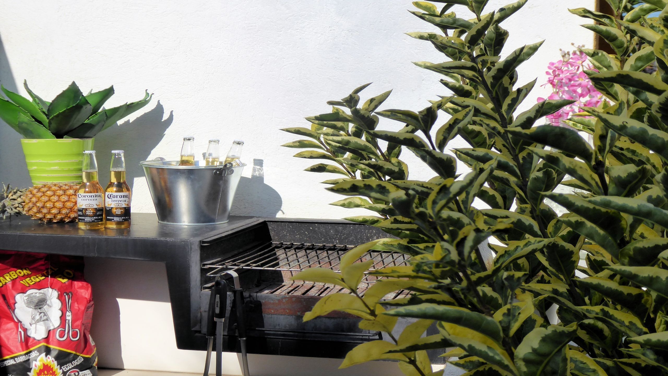 Vakantievilla's Costa Brava Spanje - Villa Fransisca - BBQ gebied