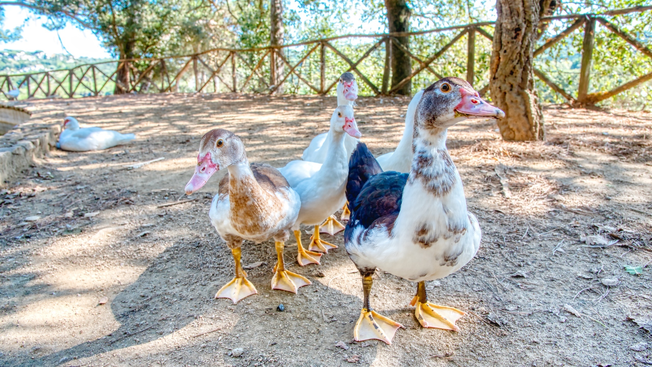 Vakantievilla's Costa Brava Spanje - Villa Paradise - Een van de weergaven