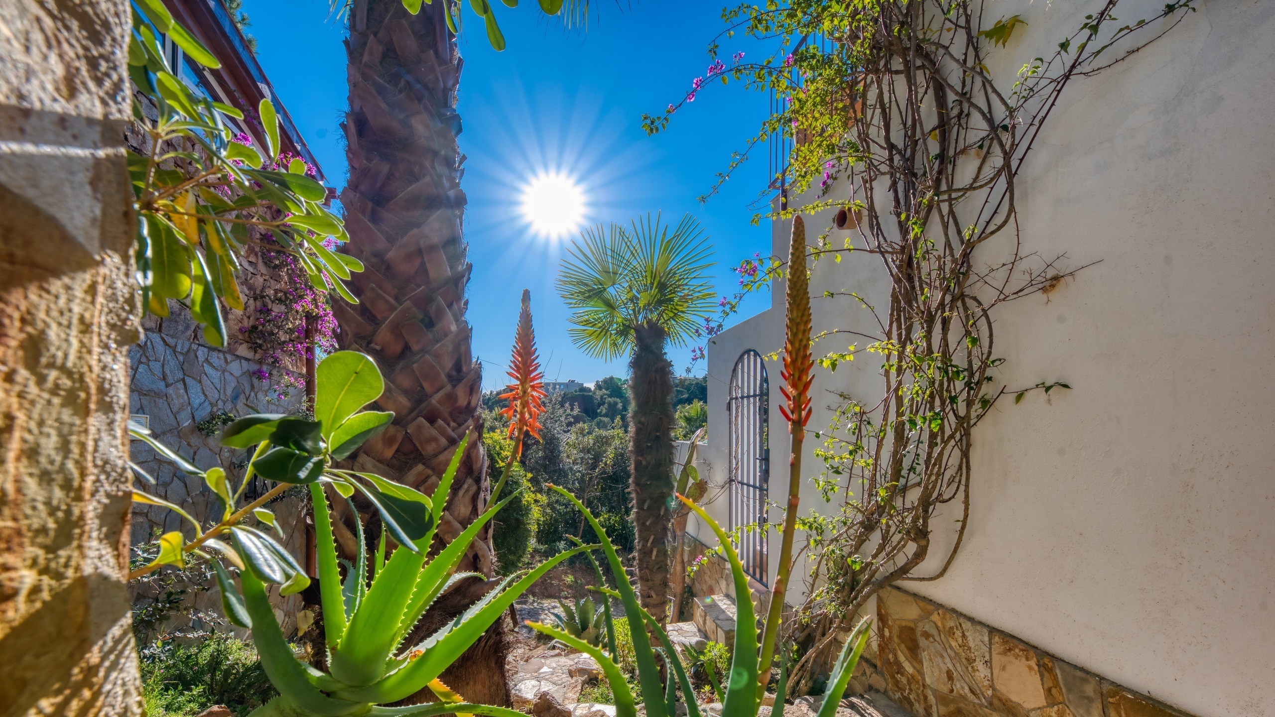 Vakantievilla's Costa Brava Spanje - Casa AdoRa - Tuin